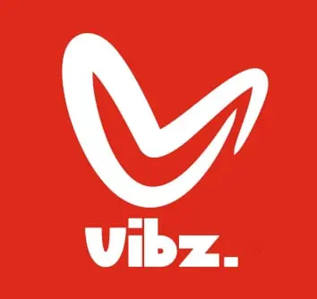 Vibz booster votre présence social